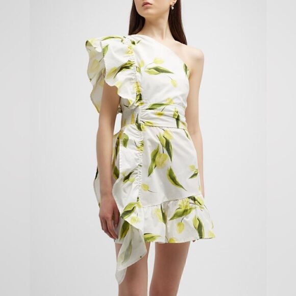 LALIBELA Stephanie Digital-Print Short Ruffle Dress size S - Picture 1 of 11